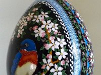 Bluebird Pysanka Pysanky Ukrainian Easter Egg by So Jeo : pysanky pysanka bluebird bird apple tree majic carpet fabric acid dye dyes wax beeswax kistka kistky blossom ukrainian easter egg batik art sojeo florals flowers birds stars trees vines blooms buds bluebird owl art sojeo so jeo eggshell egg shell blown decoration ivy garden rainbow rosie posy nightshad victorian trees etched brown chicken eggs turkey